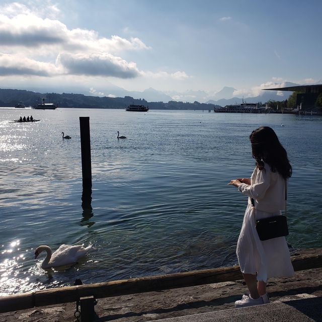 瑞士🇨🇭人間仙境🥰世外桃源琉森🫶🏻超令湖泊景色