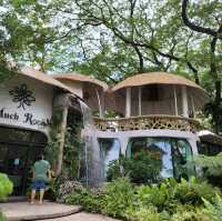 ร้านลับ คาเฟ่ชิคๆ ที่เชียงใหม่ Much Room Cafe