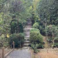 【京都】静寂の小宇宙　龍安寺