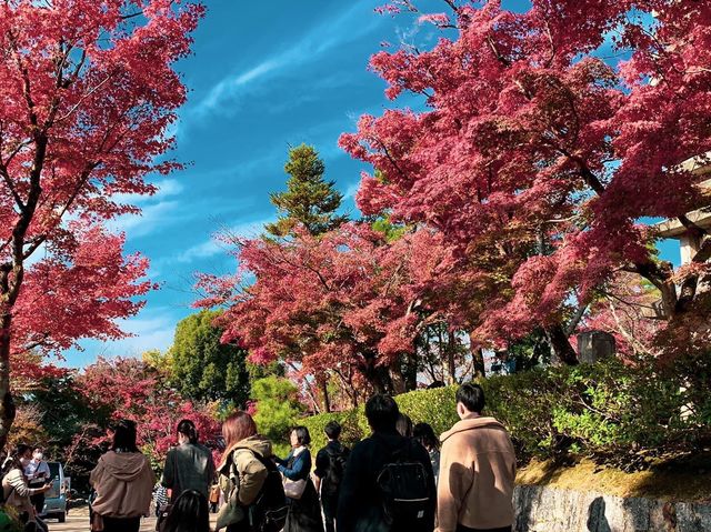 วัดคิโยะมิซุ 清水寺 หรือวัดน้ำใส 🍁⛩️