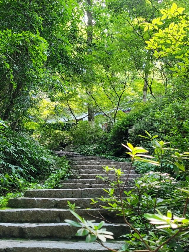 香港>長沙>岳陽