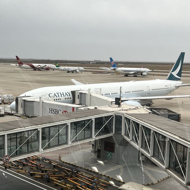 PVG T2