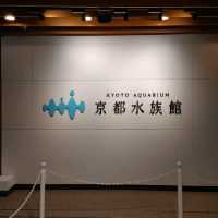 海のいきもの系ベビーグッズが豊富！京都水族館