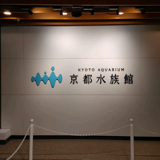 海のいきもの系ベビーグッズが豊富！京都水族館