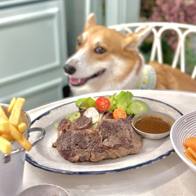 朗豪坊寵物友善餐廳🐶田園風cafe 