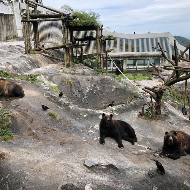 北海道　フェリーの旅