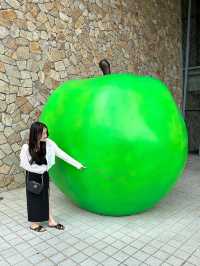 【韓国/原州】期間限定！安藤忠雄展🍏