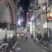 Osaka night lights at the Dotombori