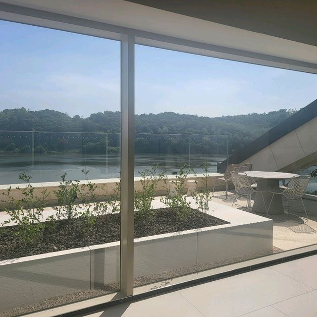 유럽감성 신상 대형카페 ☕️ 파주 모쿠슈라 프렌치카페 