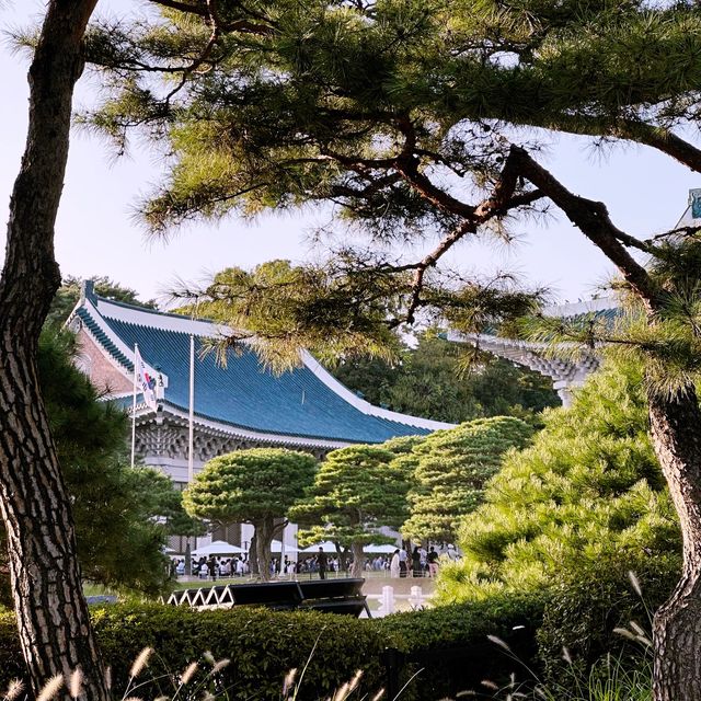 🇰🇷 서울의 중심에 위치한 청와대의 단아한 풍경을 보며 산책해보세요💕.