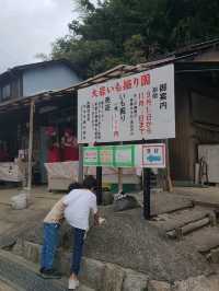 【大阪】大岩いも掘り園
