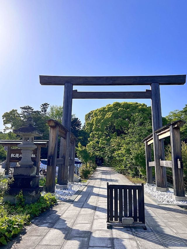 【小田原パワースポット】陽の光が心地良い報徳二宮神社