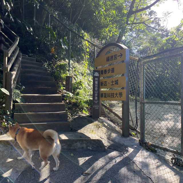 烘爐地登山步道⛰️