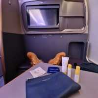 SQ Biz Class Experience SIN- IST