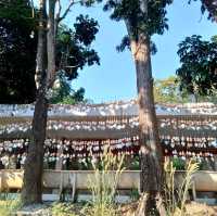 วัดพระพุทธมงคล ยอดเขาคอหงส์@หาดใหญ่