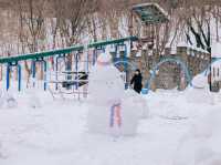 2023 울릉 나리분지 눈꽃축제, 겨울여행으로 떠나자