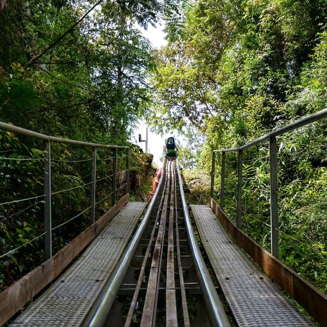 Rollwr Coaster To Datanla WaterFall