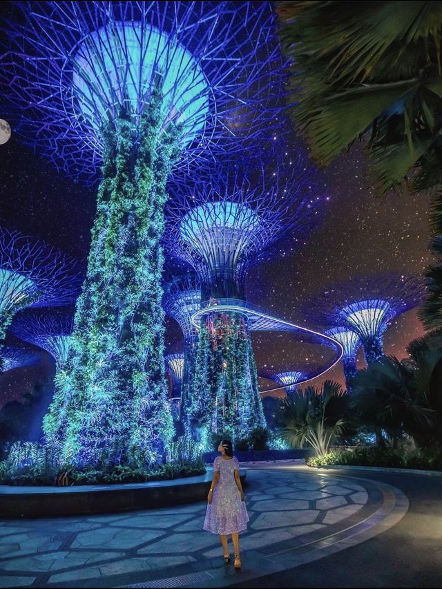 Beautiful Gardens in Singapore