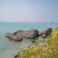 CafeCurve Beach Cafe