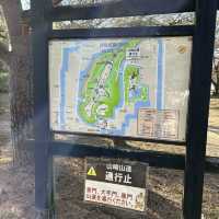 在古堡上鳥瞰古鎮