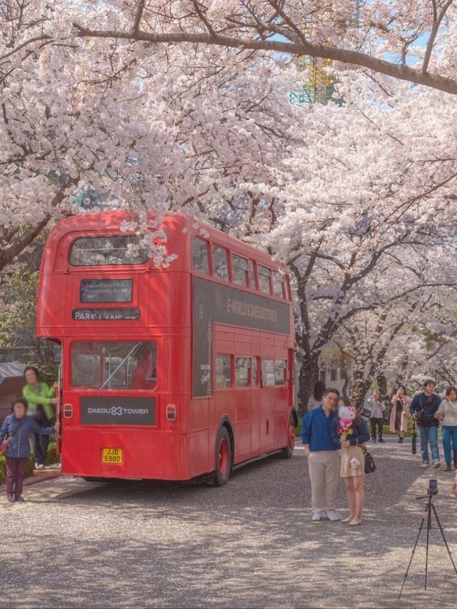 동화속에 온 듯 가슴이 설레는 이곳"이월드"