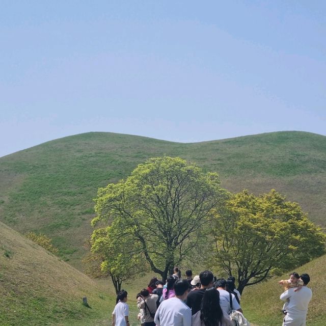 포토존이 예쁜  경주 대릉원
