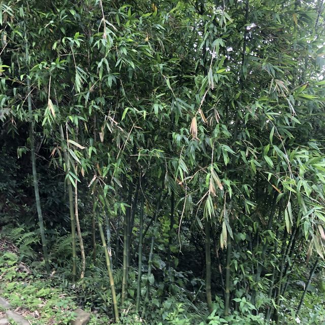 齋明寺古道
