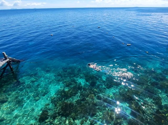 #no filter🌊純天然碧海藍天美人魚🧜🏻‍♀️