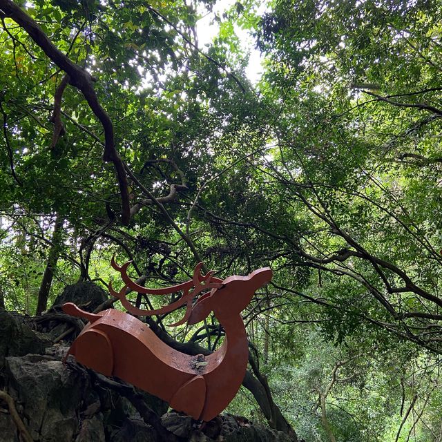 Gunung Keriang: A Scenic Hike With Paddy View