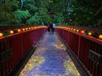 札幌｜定山溪有溫泉還有自然彩燈節