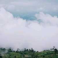 เที่ยวหน้าฝนที่ ภูทับเบิก จ.เพชรบูรณ์