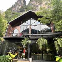 Into the Forest Krabi
