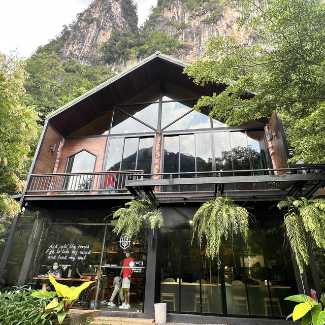 Into the Forest Krabi
