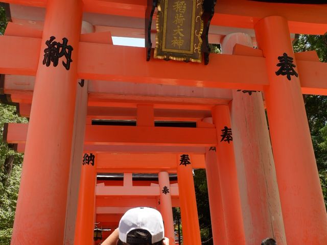 วัดเสาแดง Fushimi inari , Kyoto
