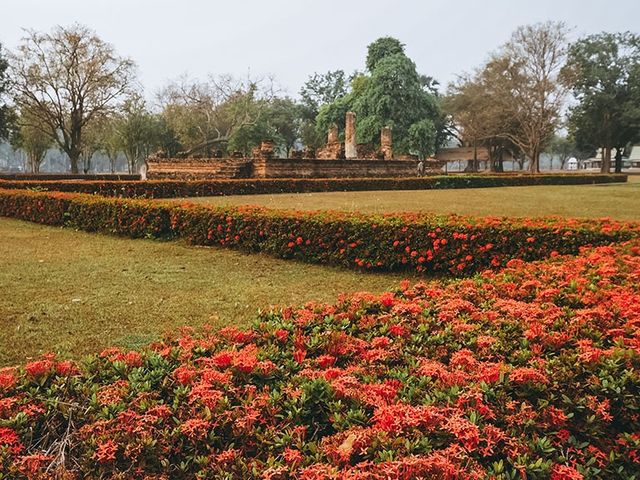 遊泰國🇹🇭素可泰的沙西寺