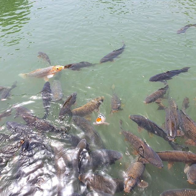 춘향골 남원 광한루