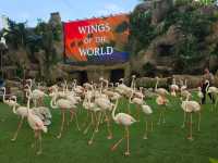 Asia's Largest Bird Park!  