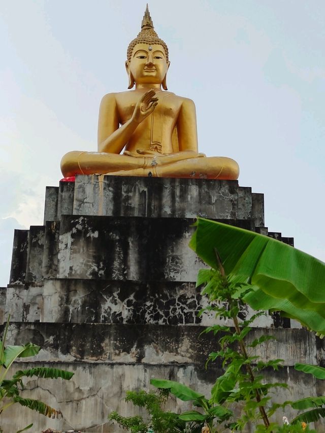 two magnificent golden Buddhist 🙏🏼🙏🏼🙏