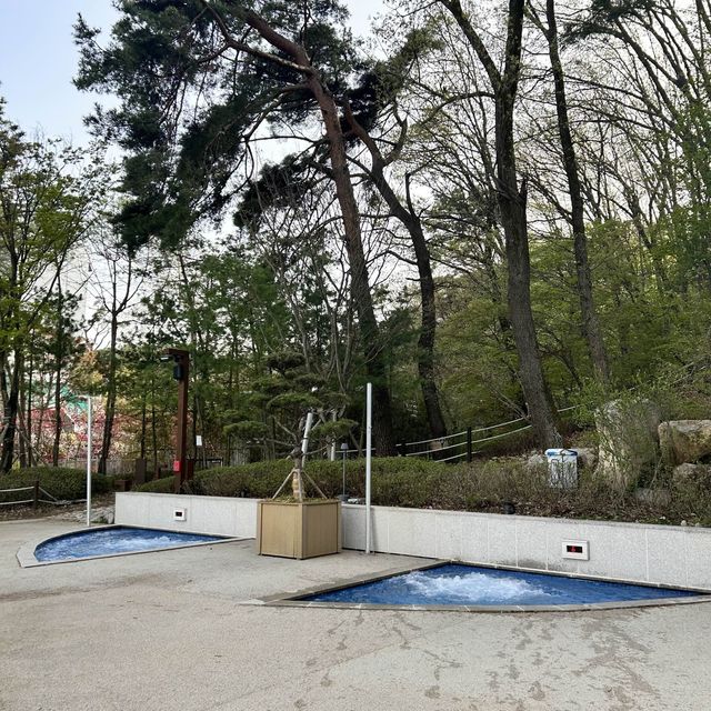 북한산을 품은 5성급 럭셔리 리조트에서 숲캉스 즐기기⛰️