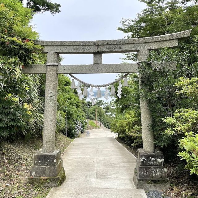 📍遠見岬神社/勝浦・千葉
