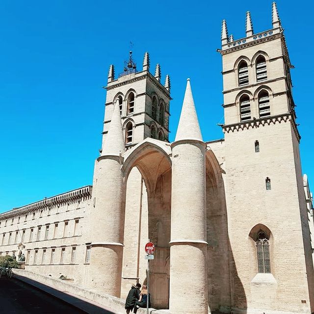 Saint-Pierre Cathedral, Montpellier FR 🇫🇷