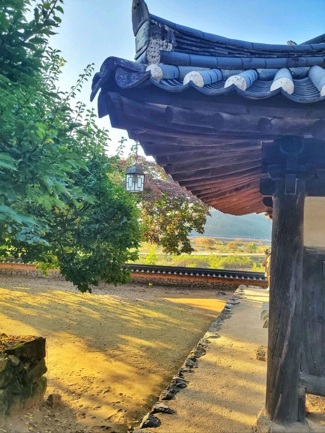 늦가을 즐기기 좋은 밀양여행지🍂