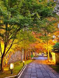 【ROKU京都】京都で最大の屋外温泉プール&紅葉が美しい日本庭園