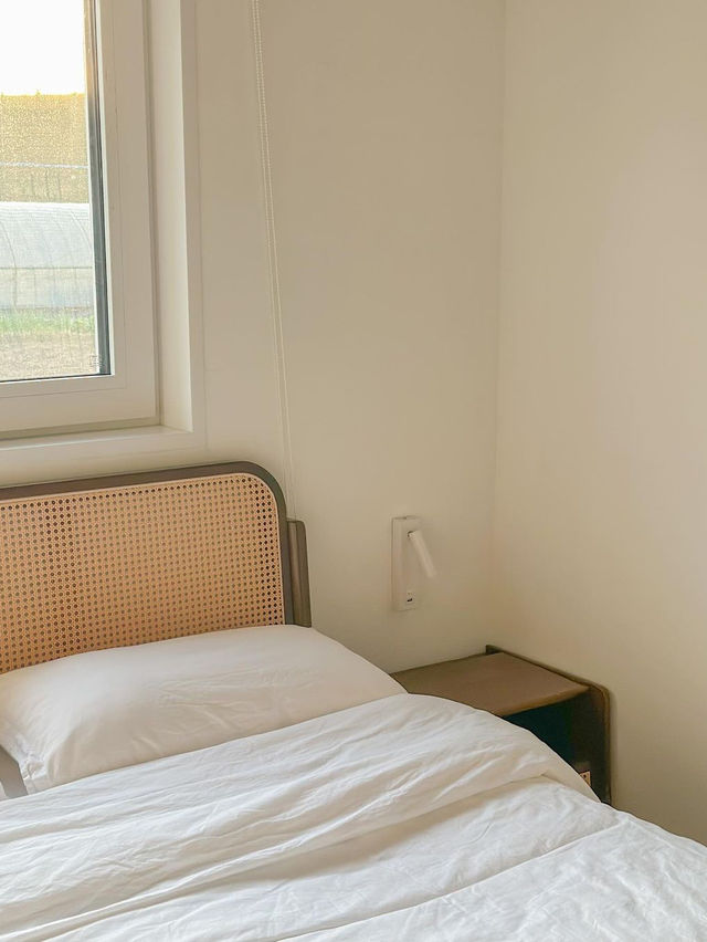 예쁘게 물든 가을날과 잘 어울리던 완주 숙소, 오늘의 우리 집🏠