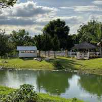 Bucolic ฟาร์มคาเฟ่เขาใหญ่