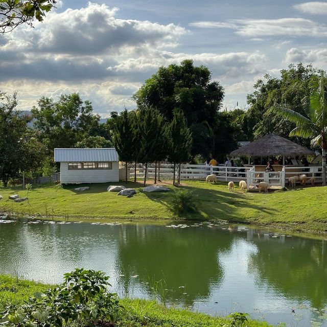 Bucolic ฟาร์มคาเฟ่เขาใหญ่