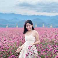 #เที่ยวหน้าหนาว 🪻บ้านไร่อุ่นรัก ทุ่งดอกไม้4สี 