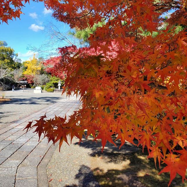 廣隆寺：京都最古老佛寺，歷史文化之旅
