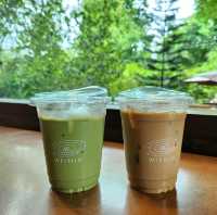 คาเฟ่ฮิปๆ|เขาใหญ่🌳🌿