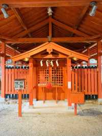 【奈良県/橿原神宮】2023年行ってよかった！奈良県の神社①